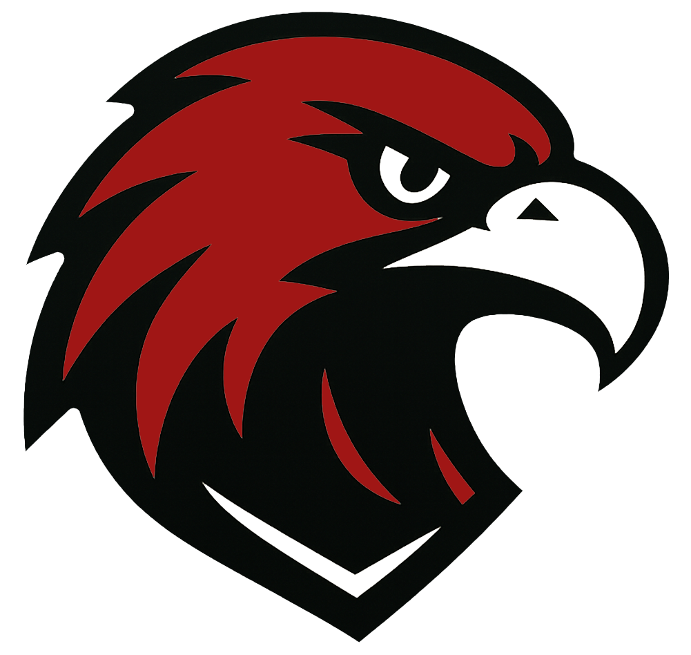 NC Thunderbirds Logo head